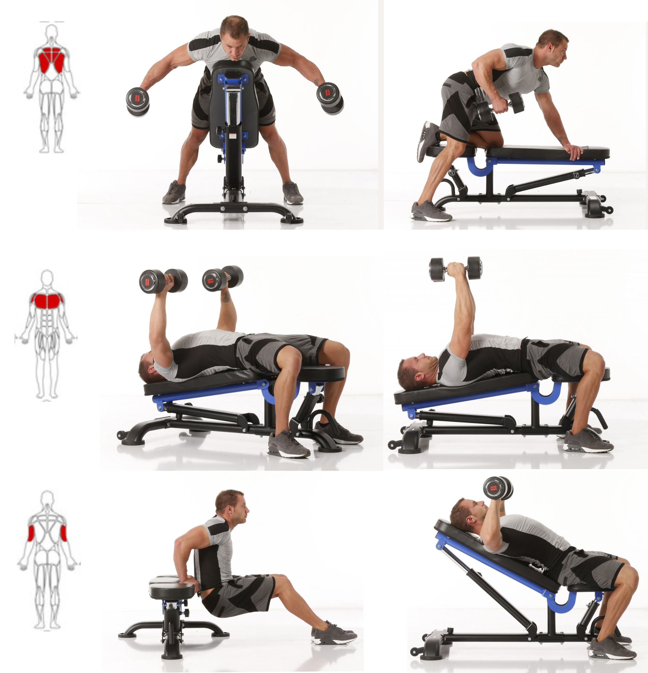 einige_Uebungen_Maxxus_Hantelbank